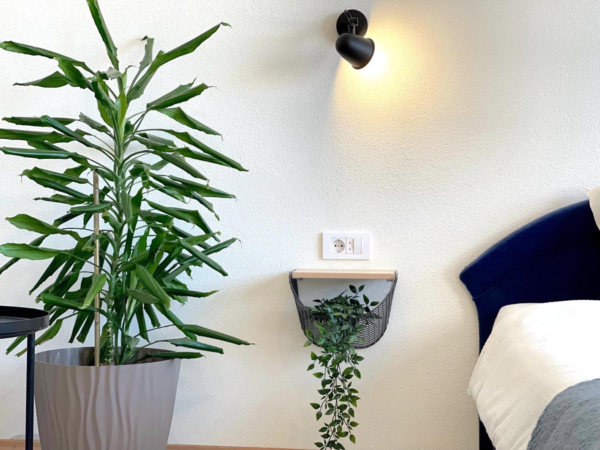 Makedonka Apartments オフリド エクステリア 写真